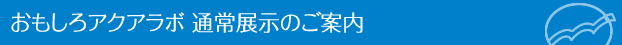 その他イベントもハロウィンバージョンに!
