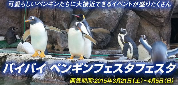バイバイ ペンギンフェスタフェスタ