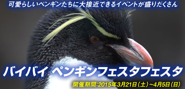 バイバイ ペンギンフェスタフェスタ