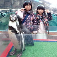 ペンギンと一緒に写真をとろう！