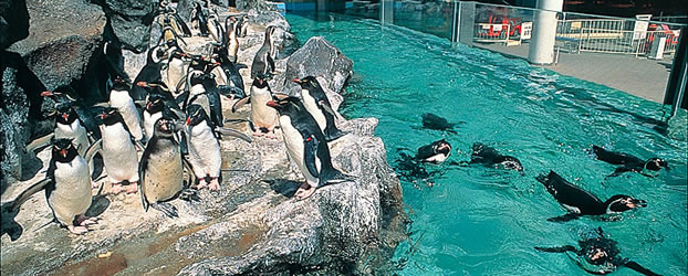 マリンピア松島水族館