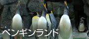 ペンギンランド