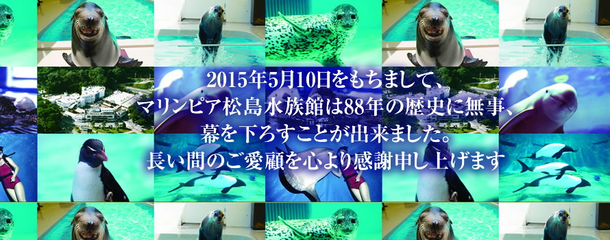 2015年5月10日をもちまして、マリンピア松島水族館は88年の歴史に無事、幕を下ろすことが出来ました。長い間のご愛顧を心より感謝申し上げます